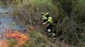 Bomberos forestales. Imagen de archivo