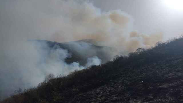 Incendio forestal en Tonín de Arbás