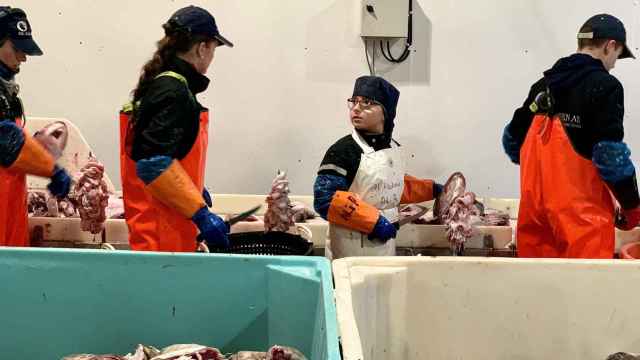 Los niños noruegos que cortan las cocochas de bacalao