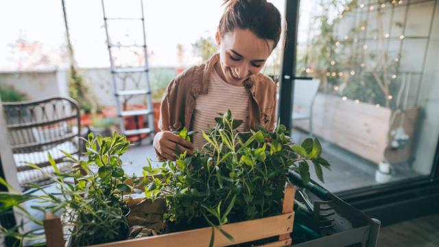 Mujer entre verduras.