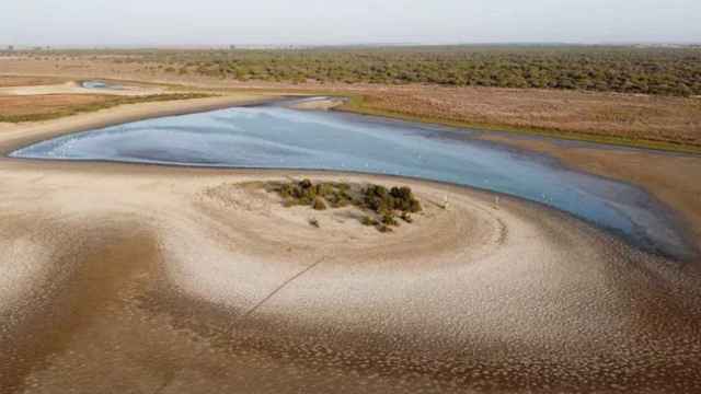 La laguna de Santa Olalla, en Doñana,  prácticamente seca el año pasado.