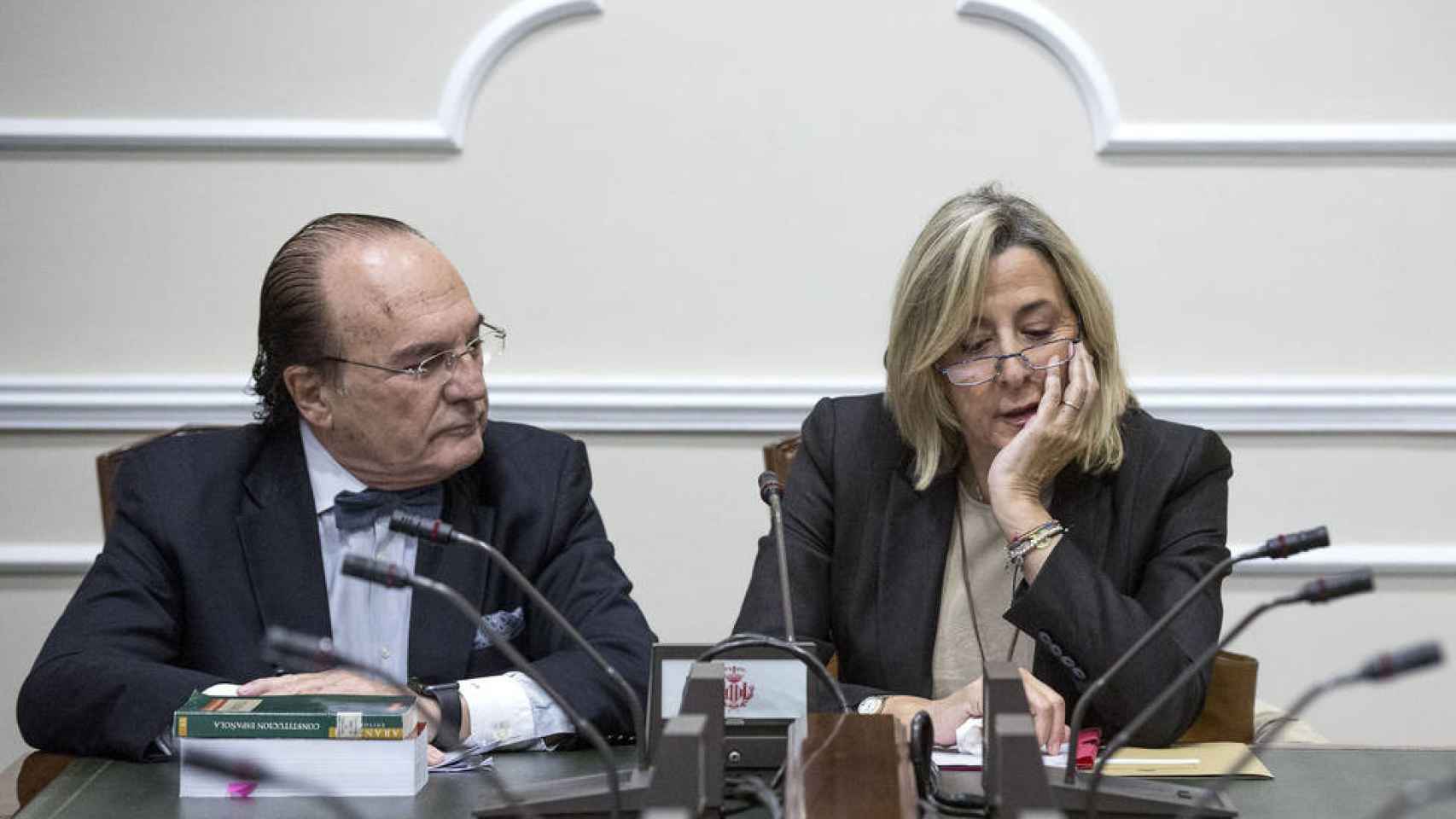 Asunción Barberá, hermana de la exalcaldesa, durante las comparecencias de la comisión de investigación sobre la gestión del PP.