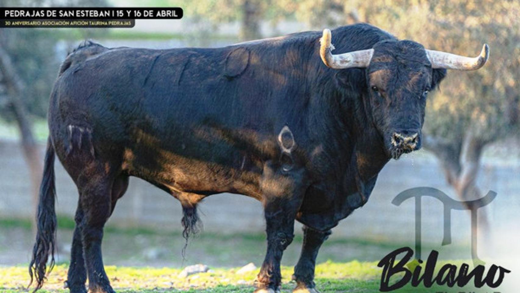 TIRO AL PLATO  Ayuntamiento de Pedrajas de San Esteban