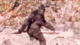 El misterio de Bigfoot ha sido resuelto por una Inteligencia Artificial