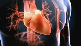 Las conmociones cardiacas son bastante habituales en deportes como el béisbol.