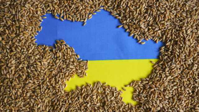 ¿Por qué los países del Este de Europa boicotean los cereales de Ucrania?
