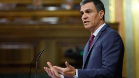 El presidente del Gobierno, Pedro Sánchez, este miércoles en el Congreso de los Diputados.