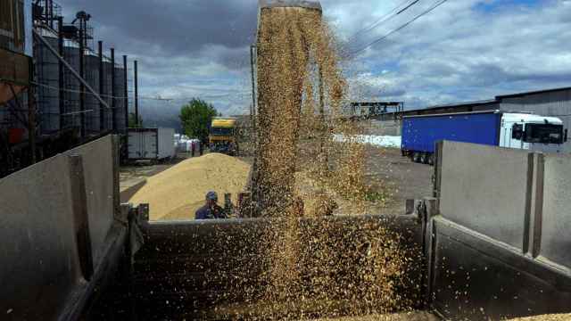 Un trabajador carga un camión con cereal en una terminal durante la cosecha de cebada en la región de Odesa