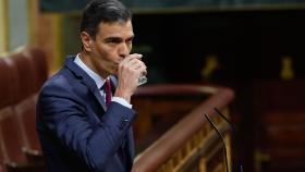 Pedro Sánchez en el Congreso de los Diputados.