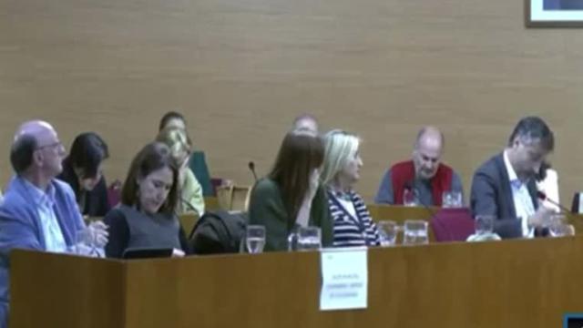 Captura del vídeo de la intervención del concejal.