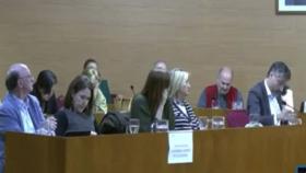 Captura del vídeo de la intervención del concejal.