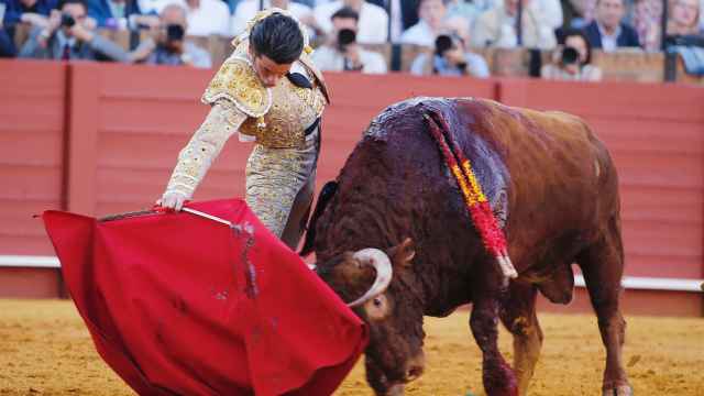 El torero Alvaro Lorenzo pega un derechazo en la Maestranza de Sevilla.