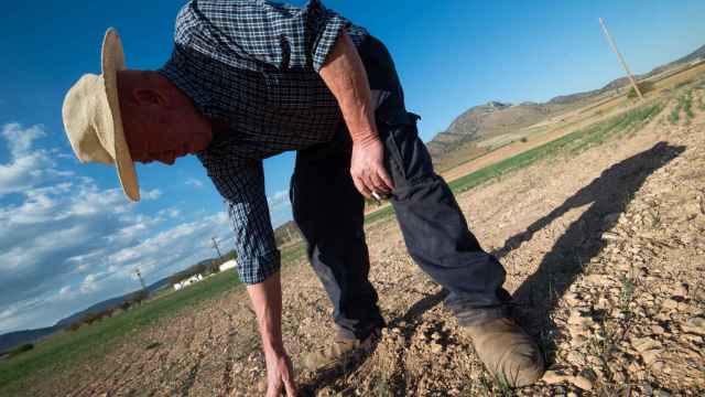 Un agricultor muestra la tierra seca, a 20 de abril de 2023, en Murcia.