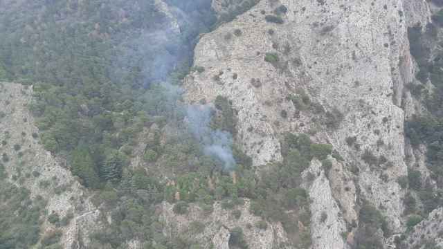 Incendio forestal en Alcaucín.