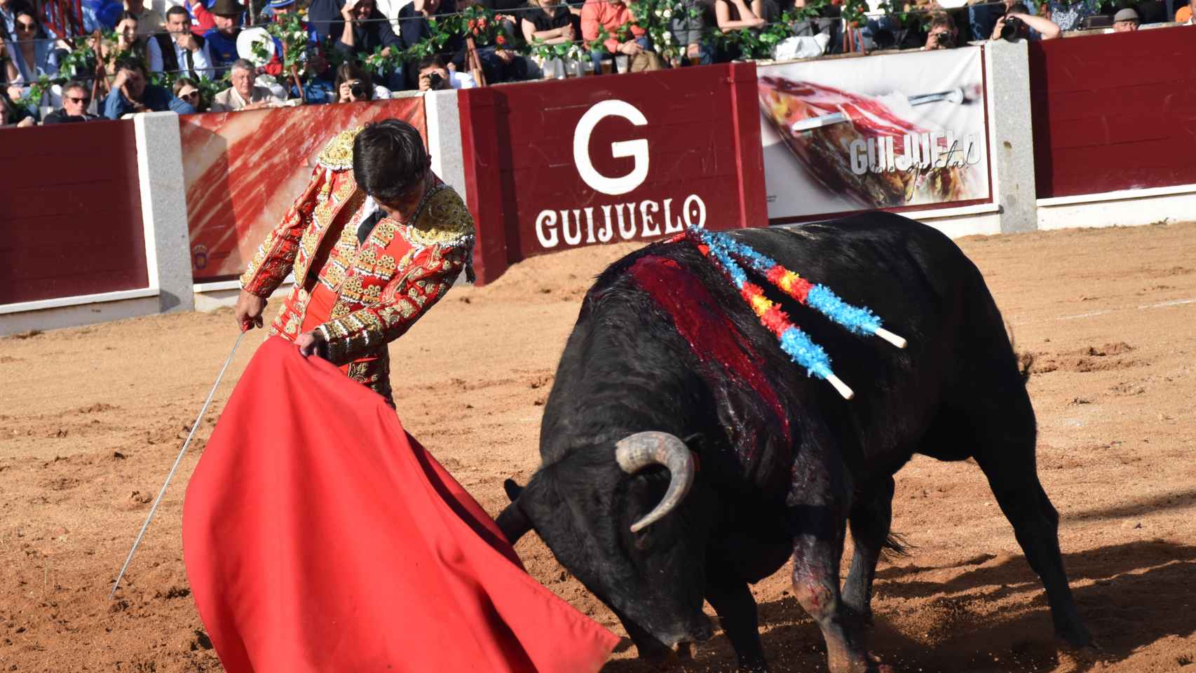 Corrida de Toros de Guijuelo el Día de Castilla y León