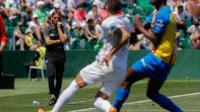 El entrenador argentino del Elche, Sebastián Andrés Beccacece, durante el encuentro contra el Valencia.