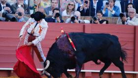 Morante de La Puebla en Sevilla.