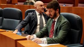 El vicepresidente de la Junta, Juan García-Gallardo, y el consejero de la Presidencia, Jesús Julio Carnero, durante el pleno de las Cortes de este miércoles.