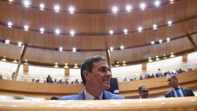 El presidente Pedro Sánchez en su cara a cara contra Alberto Núñez Feijóo en el Senado.