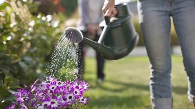 Una mujer regando su jardín con flores.