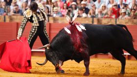 Roca Rey pega un derechazo a un toro de Victoriano del Río en Sevilla.
