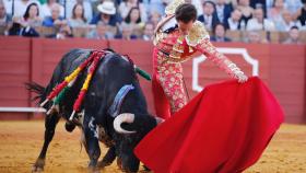 Ginés Marín pega un derechazo en la Maestranza de Sevilla.