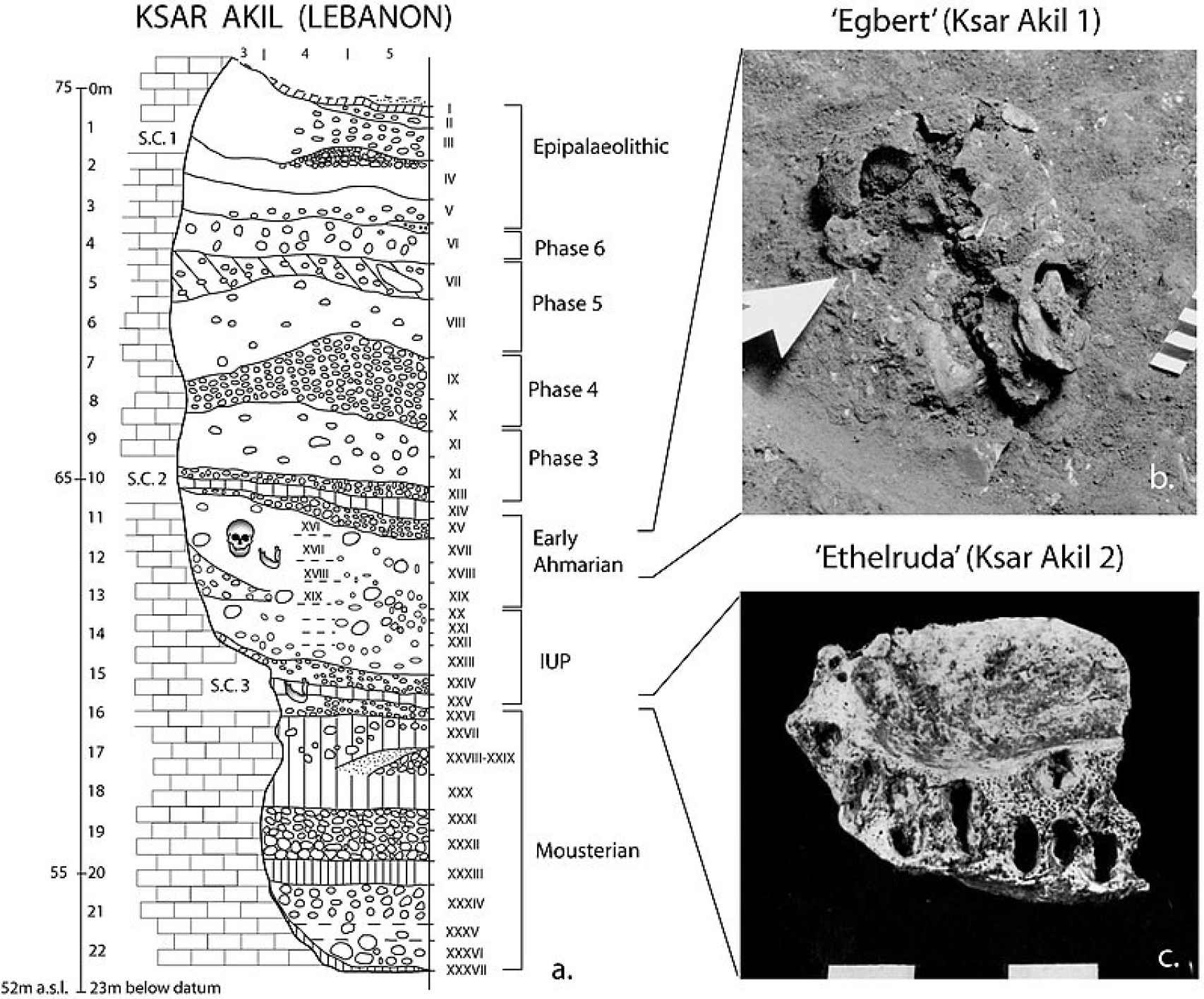 Secuencia estratigráfica de Ksar Akil, con los restos de dos 'sapiens' hallados.