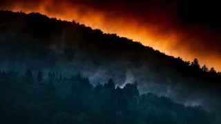 Los incendios forestales representan una de las mayores amenazas en estos momentos. Imagen de Unsplash.