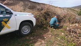 La Guardia Civil en el lugar donde fue enterrada la mastina de siete meses