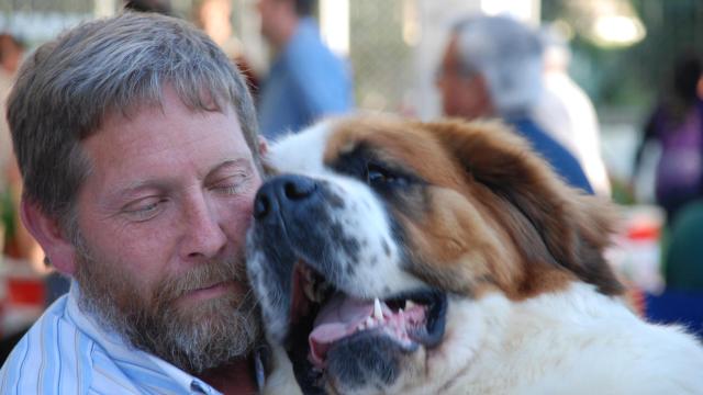 Feria del Perro de Archidona.