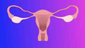 El 8 de mayo se celebra el Día Mundial del Cáncer de Ovario.