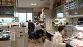 Un laboratorio del Centro de Investigación del Cáncer de Salamanca