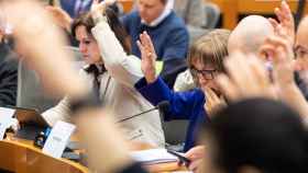 El Parlamento Europeo, durante una votación a mano alzada