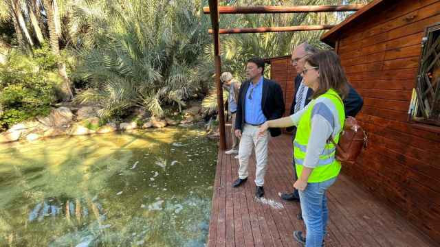 El alcalde de Alicante en su visita a las obra del parque del Palmeral.