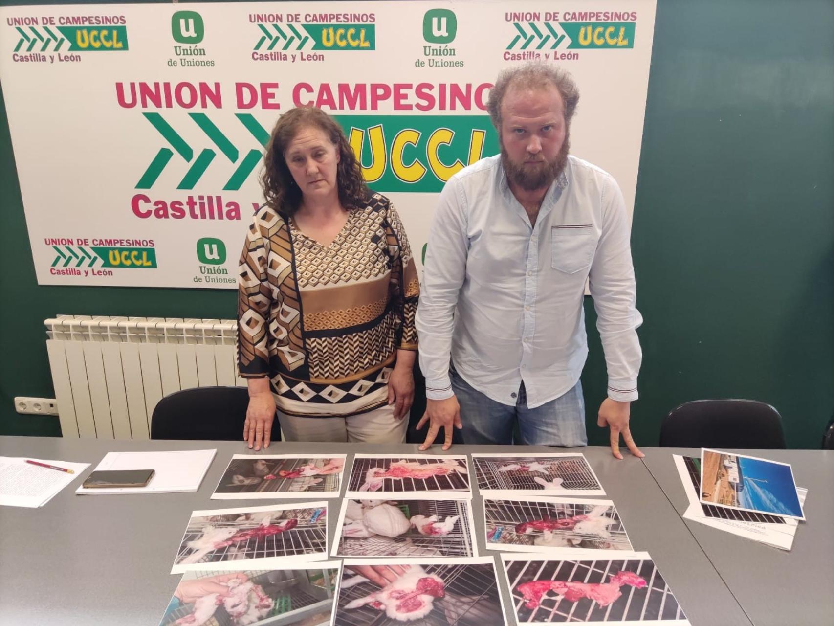 Los dueños de la granja de conejos, Angela Gómez y Nacho del Campo, junto a las imágenes de las secuelas de los conejos