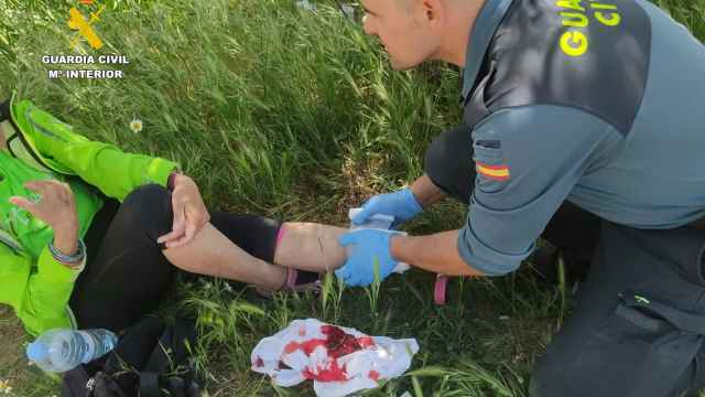 Peregrina italiana atacada por un perro en Zamora