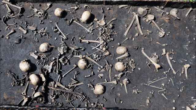 Cadáveres en el barro, caídos en la batalla de la Edad del Bronce del valle de Tollense. Foto: S. Sauer