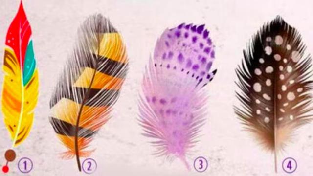 ¿Con cuál de estas cuatro plumas te quedas?