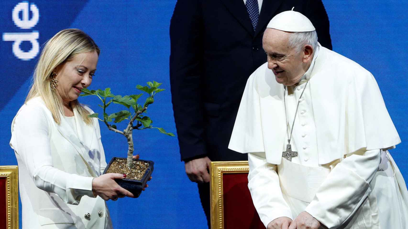 El Papa le regala un bonsái a Meloni.