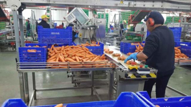 Interior de Agrícola Villena, en imagen de archivo.