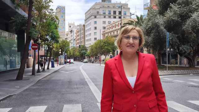 Ana Barceló, candidata del PSOE a la Alcaldía de Alicante.
