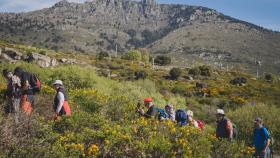 18 planes para hacer por las sierras de Madrid