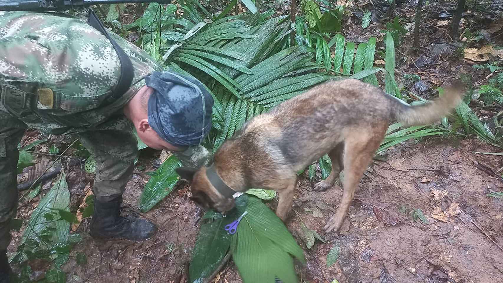 Un soldado y un perro participan en la operación de búsqueda, este miércoles.