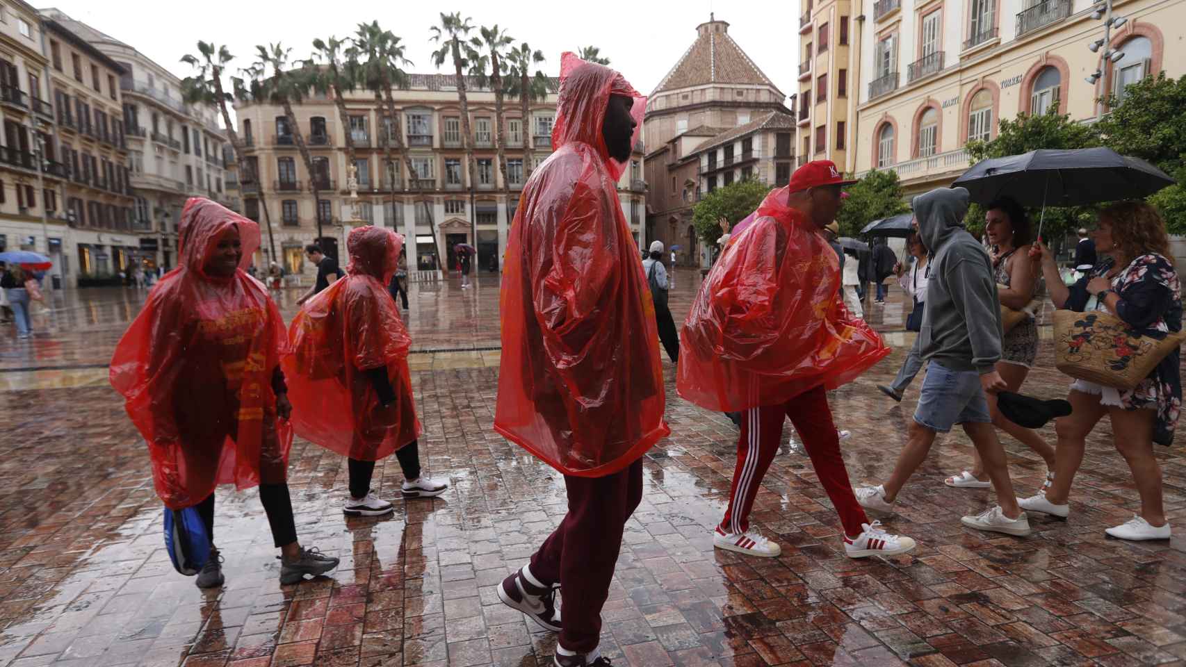 Un grupo de personas se tapan de la lluvia con chubasqueros y paraguas mientras caminan por una calle de Málaga.