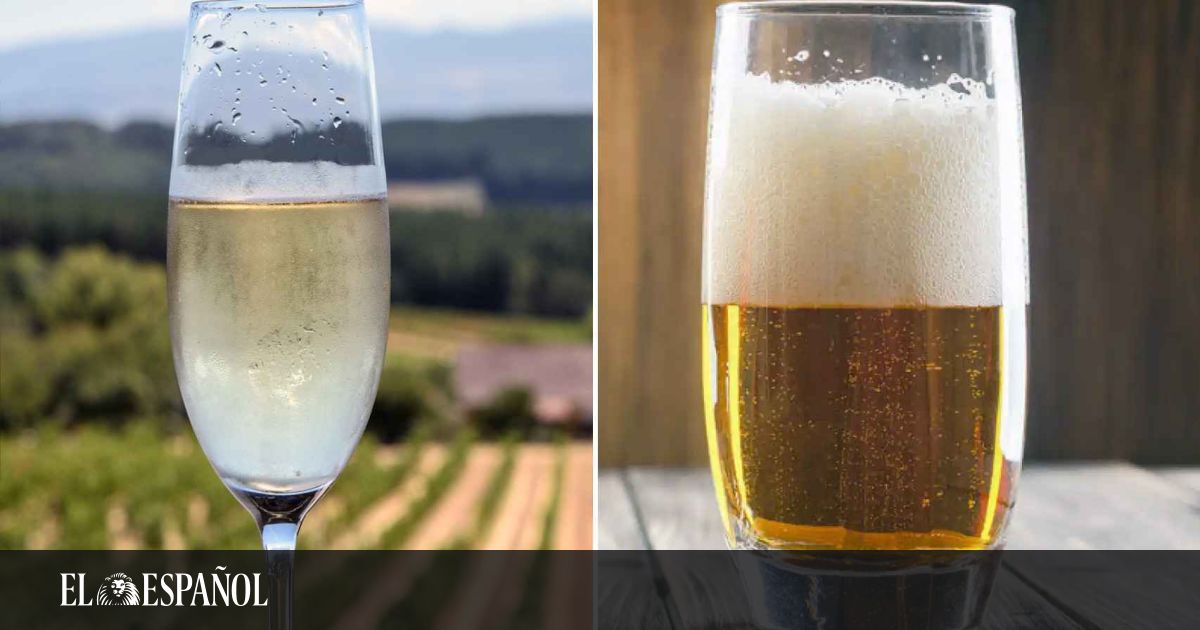 Science reveals why champagne bubbles rise in a straight line and beer bubbles don’t