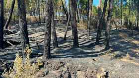 El incendio de las comarcas de Las Hurdes y Sierra de Gata queda controlado