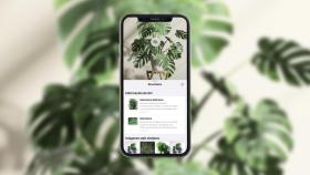 Visual Look Up fue una herramienta que se introdujo con iOS15.