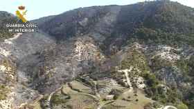 Un vertido de cenizas, posible causa del incendio que quemó 200 hectáreas junto al Alto Tajo