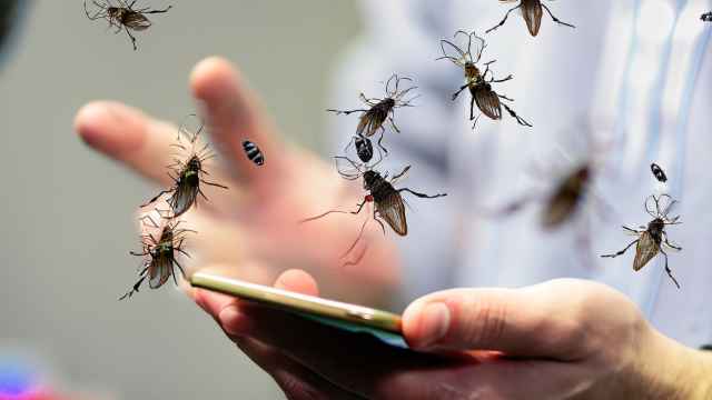 Las aplicaciones anti moscas y su uso real