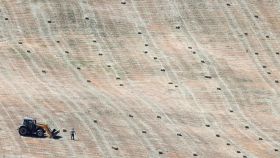 Los agricultores recogen el heno en sequía, en Ronda, en España, a 11 de mayo de 2023.